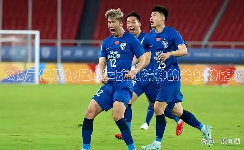 K体育最新网站荣信文化《揭示世界杯足球运动员精神的关键特质》