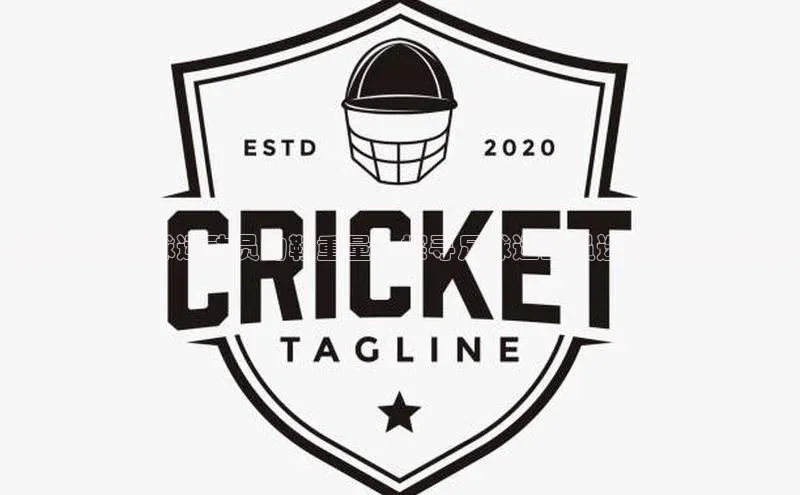 k1体育 - 十年品牌 值得信赖百度学术揭秘专业足球运动员的鞋重量：探寻足球运动员选择鞋重的秘密