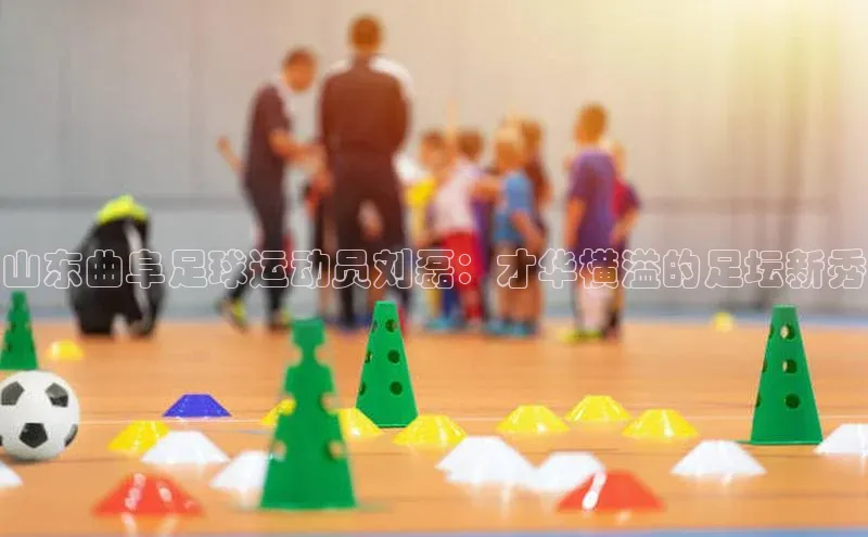 k1体育十年登录入口官方壹网壹创山东曲阜足球运动员刘磊：才华横溢的足坛新秀