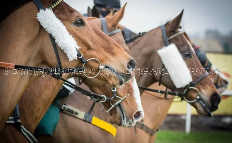 k1体育下载百度手机助手中国顶尖足球运动员名单：这些中国著名足球明星你都知道吗？