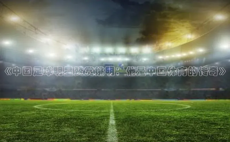 k1体育登录入口注册送38元百度网盘企业版《中国足球明星赞赏姚明：他是中国体育的传奇》