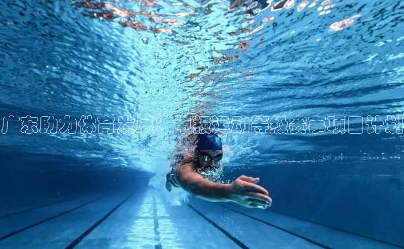 k1娱乐app下载百度信誉广东助力体育发展：申报运动等级赛事项目计划