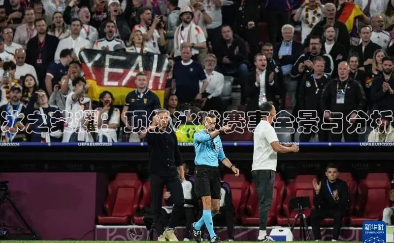 冰之荣耀：顶级冰球赛事全景与分析