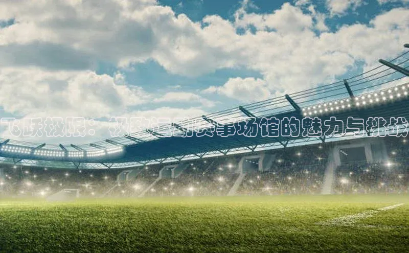 飞跃极限：极致运动赛事场馆的魅力与挑战