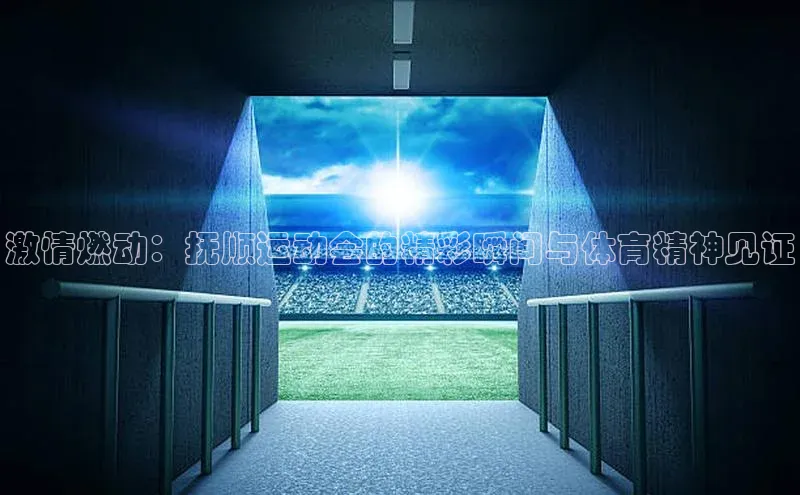 激情燃动：抚顺运动会的精彩瞬间与体育精神见证