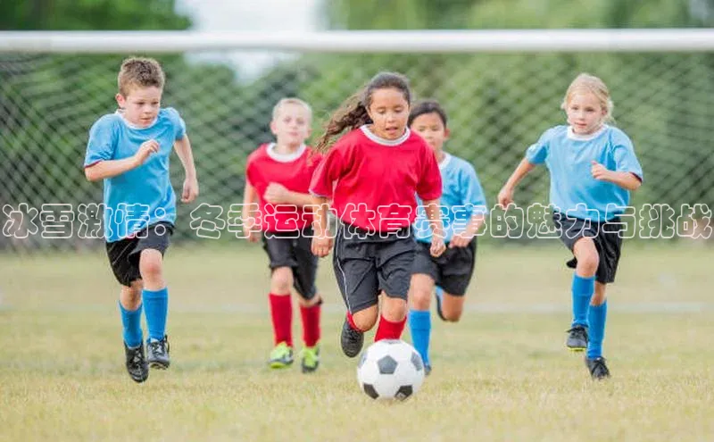 冰雪激情：冬季运动体育赛事的魅力与挑战