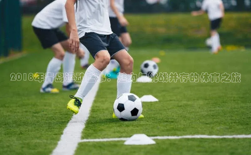 2018年青岛运动盛事：魅力与挑战并存的体育之旅