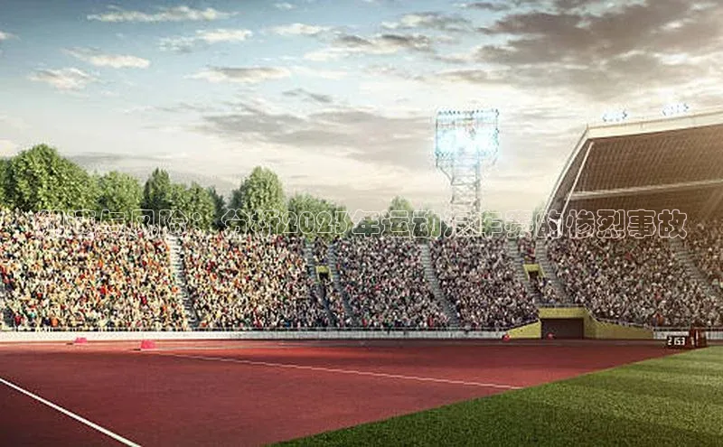 飙速与风险：分析2023年运动汽车赛的惨烈事故