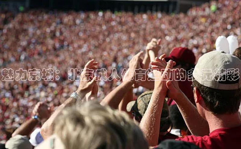 魅力京城：北京成人体育运动的多元精彩