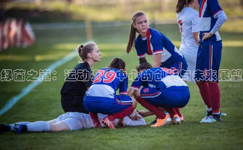 绿茵之巅：运动赛事中心的创新与未来展望