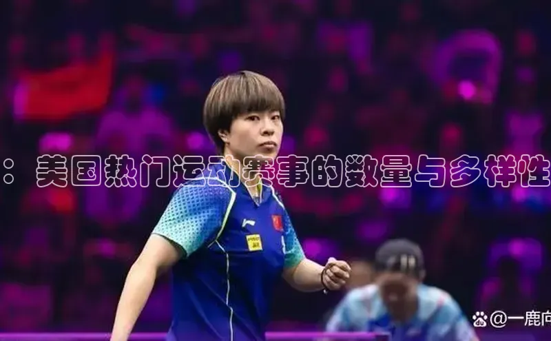 ：美国热门运动赛事的数量与多样性