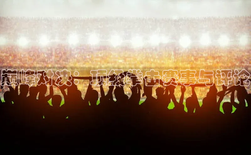 巅峰对决：顶级拳击赛事与评论