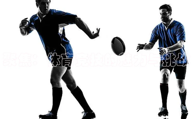 聚焦：体育竞技的魅力与挑战