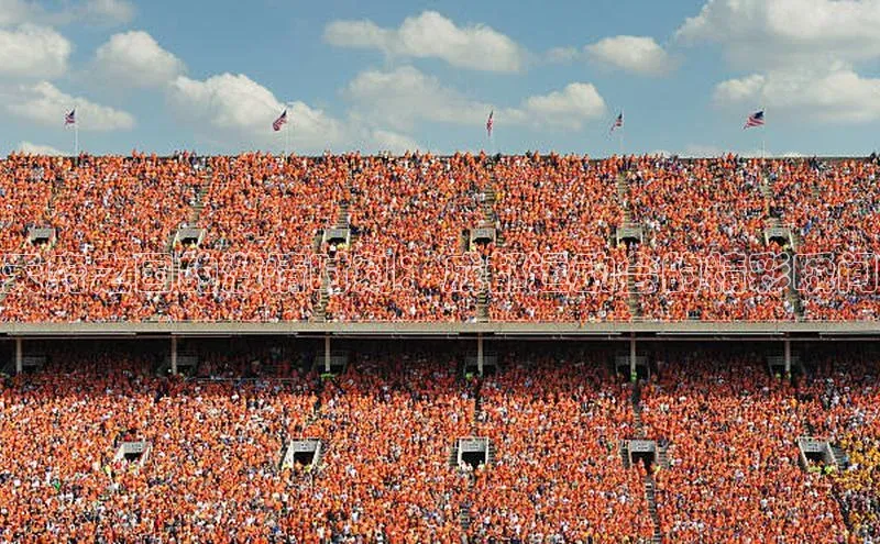 天府之国的激情时刻：成都运动会的精彩瞬间