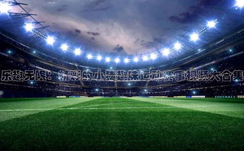 乐趣无限：精彩的小猪趣味运动赛事视频大合集